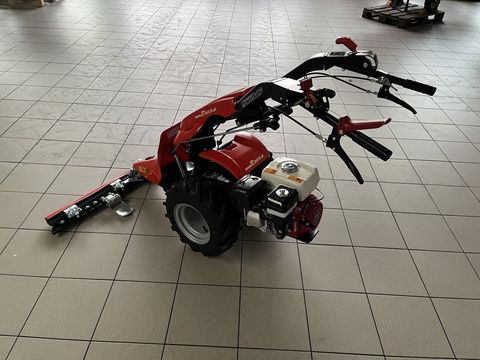[3379-4052874-2.jpg]