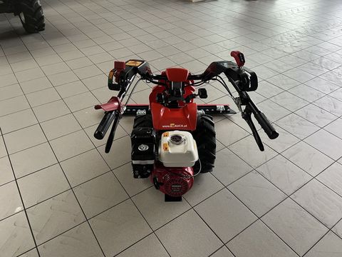 [3379-4052874-3.jpg]