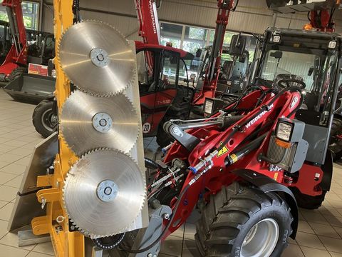 [3379-4334496-1.jpg]