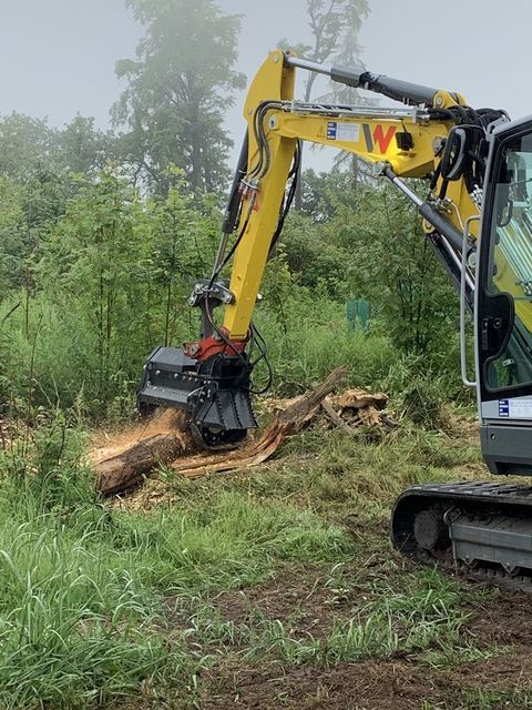 [3379-4468280-3.jpg]