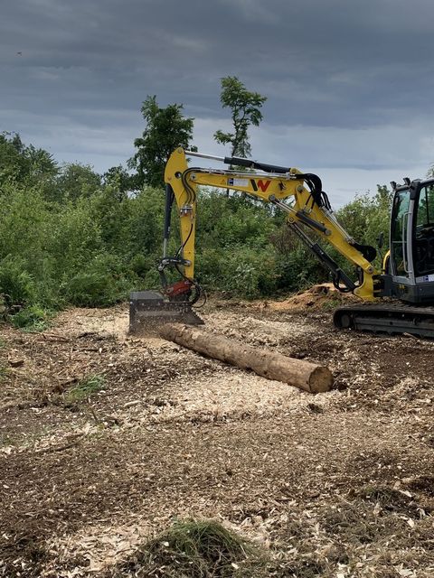 [3379-4468280-6.jpg]