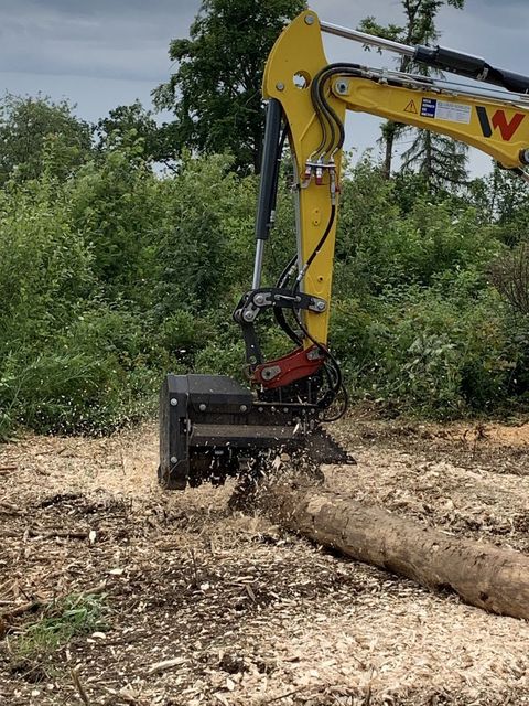 [3379-4468280-7.jpg]