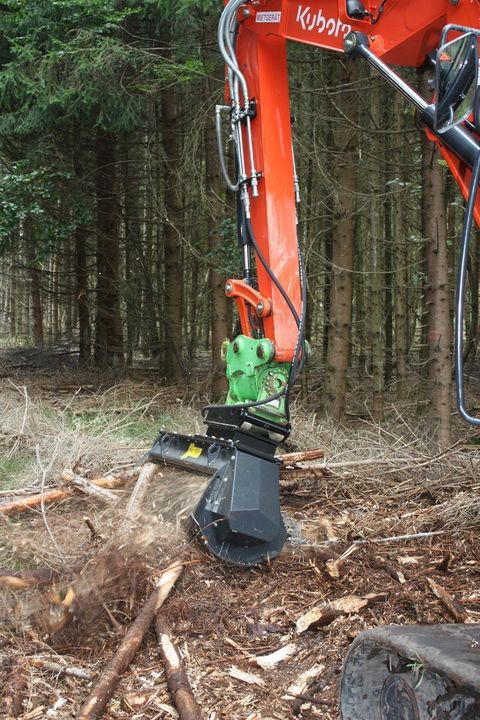 [3379-4468291-8.jpg]