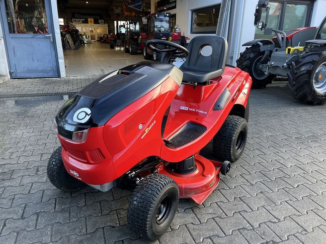 [3379-5043137-0_1.jpg]