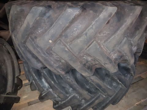 [3379-5500624-0.jpg]