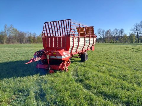 [3379-5563054-0.jpg]