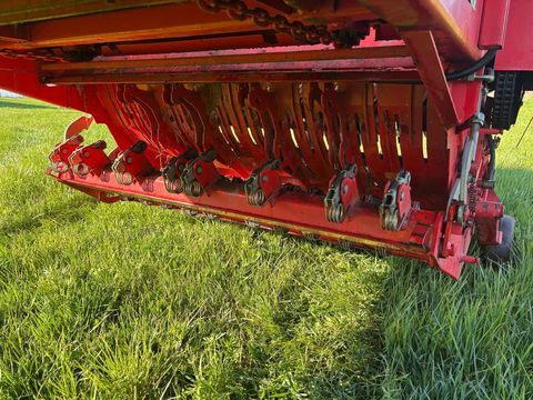 [3379-5563054-13.jpg]