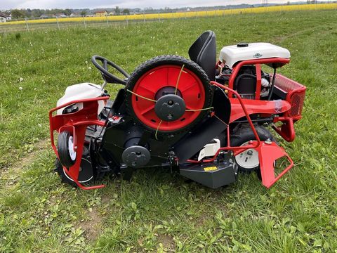 [3379-5977799-13.jpg]