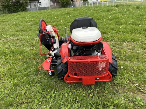 [3379-5977799-15.jpg]