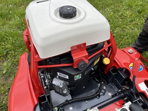 [3379-5977799-6.jpg]