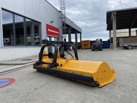 [3379-6003094-2.jpg]