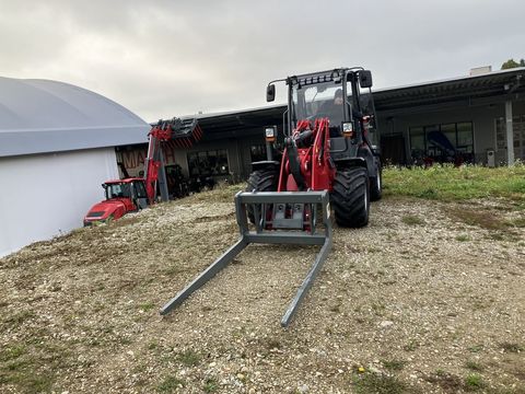 [3379-6298668-5.jpg]