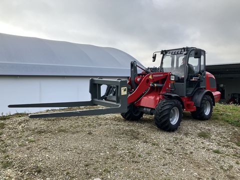 [3379-6299948-0.jpg]