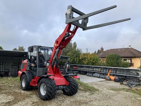 [3379-6299948-1.jpg]