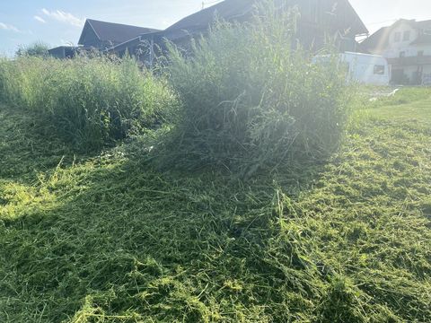 [3379-6299976-1.jpg]