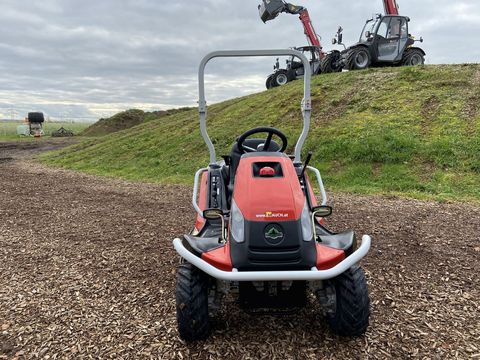 [3379-6299976-10.jpg]