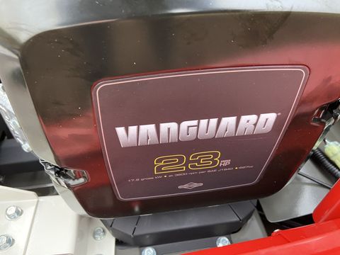 [3379-6299982-2.jpg]