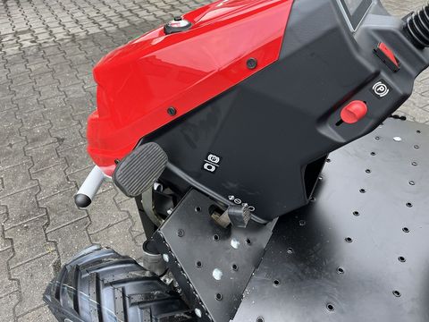 [3379-6310489-11.jpg]