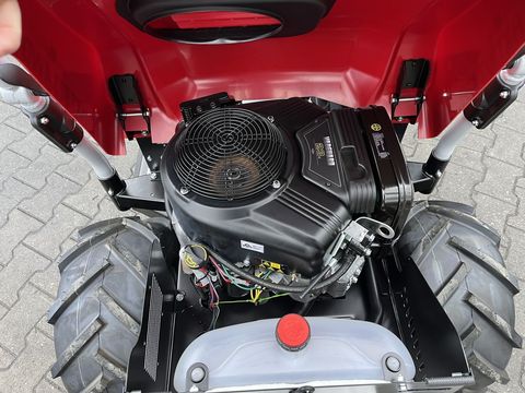 [3379-6310489-13.jpg]