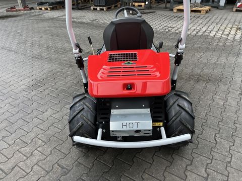 [3379-6310489-14.jpg]