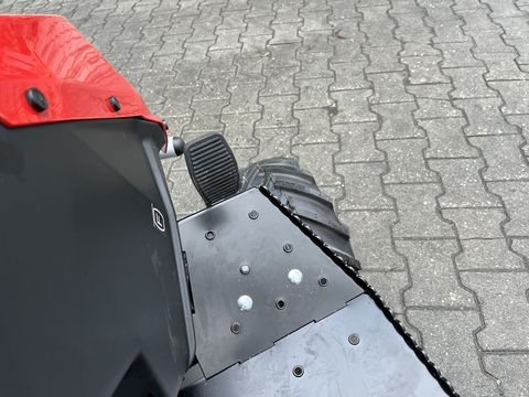 [3379-6310489-9.jpg]