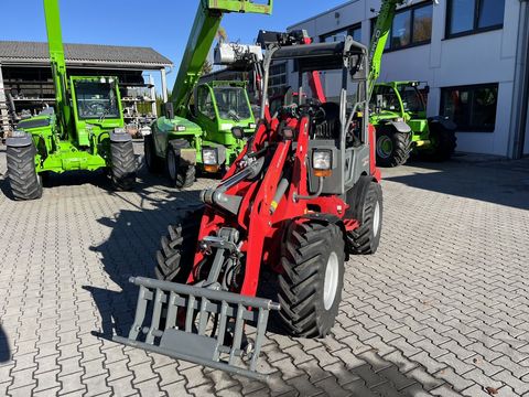 [3379-6406132-2.jpg]