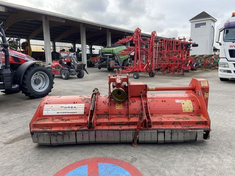 [3379-6451845-1.jpg]