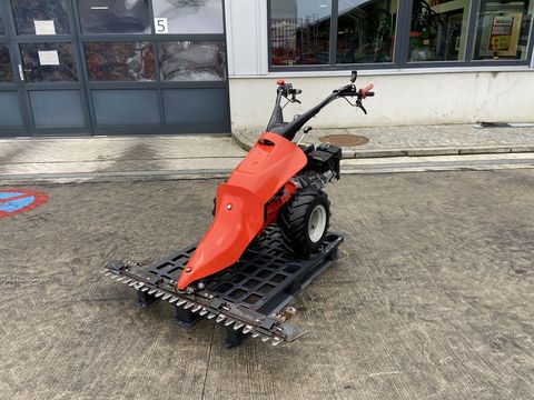 [3379-6522418-0.jpg]