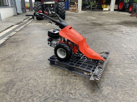 [3379-6522418-2.jpg]