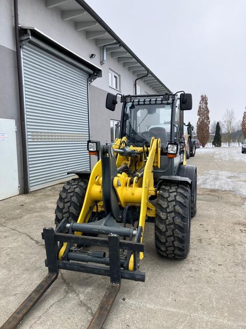 [3379-6634069-11.jpg]