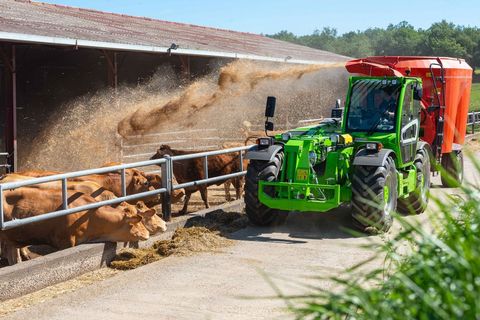 [3379-6646734-1.jpg]