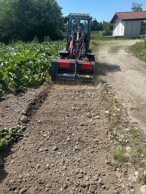 [3379-6649355-1.jpg]