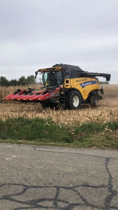 [3379-6765659-3.jpg]