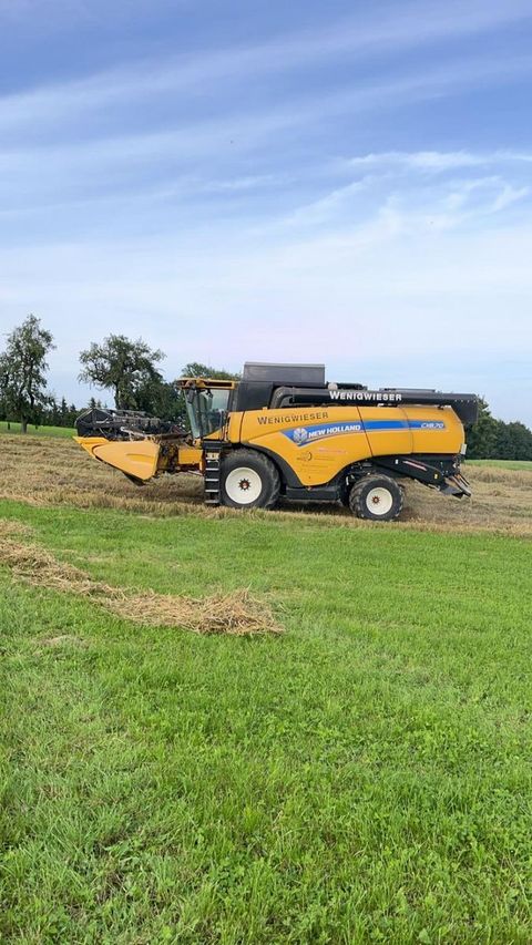 [3379-6765659-4.jpg]