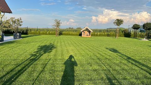 [3379-6822566-7.jpg]