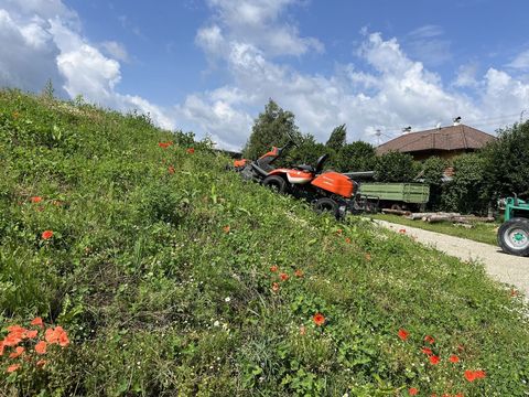 [3379-6822602-2.jpg]