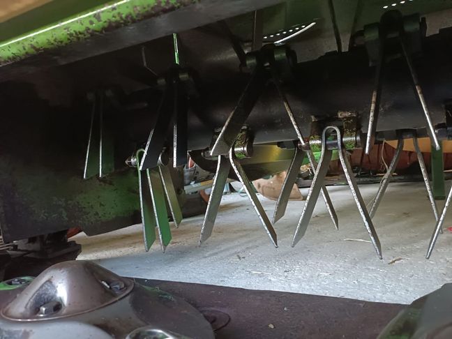 [3383-4146262-0_1.jpg]