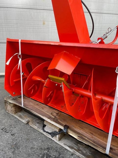 [3383-4621640-3.jpg]