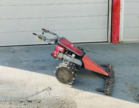 [3383-4635906-2.jpg]