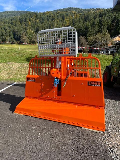 [3383-6293759-7.jpg]