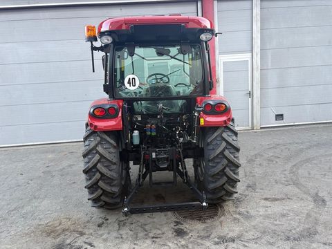 [3383-6430529-10.jpg]