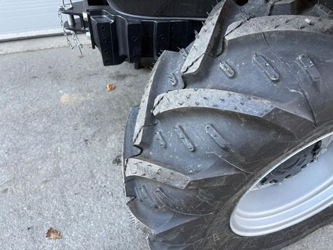 [3383-6430529-11.jpg]