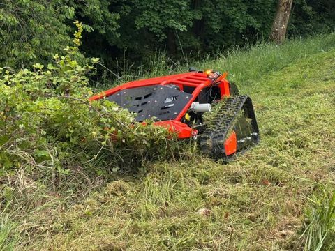 [3489-6403023-0.jpg]