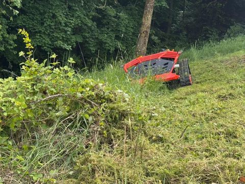 [3489-6403023-1.jpg]