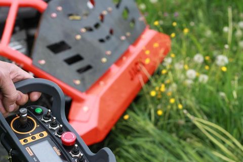 [3489-6403023-2.jpg]