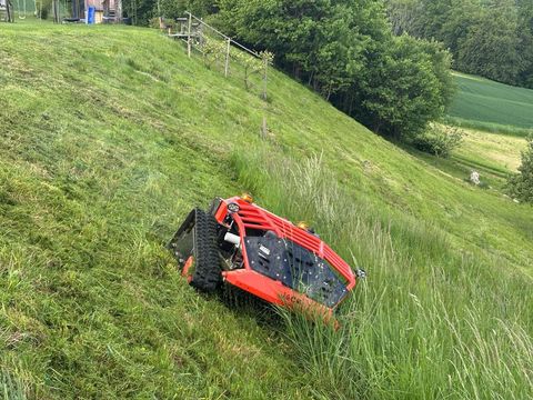 [3489-6403023-5.jpg]