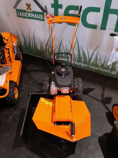 [3489-6660231-0.jpg]