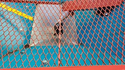 [3508-3846527-8.jpg]