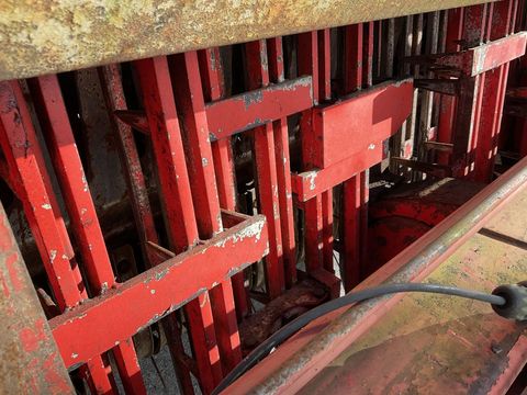 [3508-4067419-19.jpg]