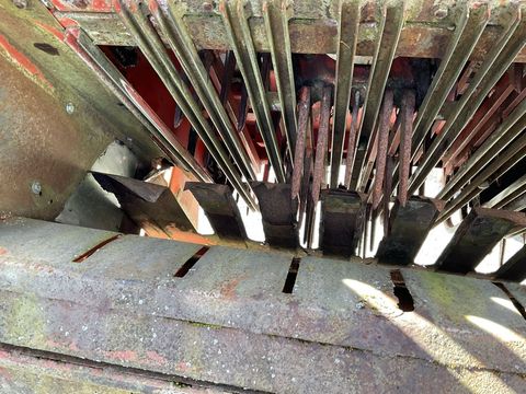 [3508-4067419-23.jpg]